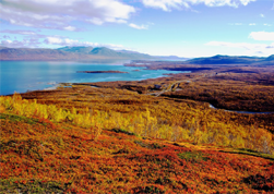 Abisko National Park