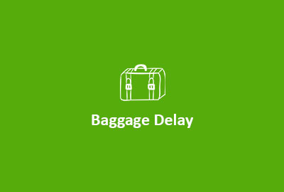 baggage delay