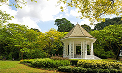 Travel insurance for Botanic Gardens