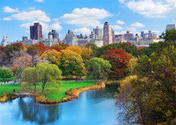 central-park