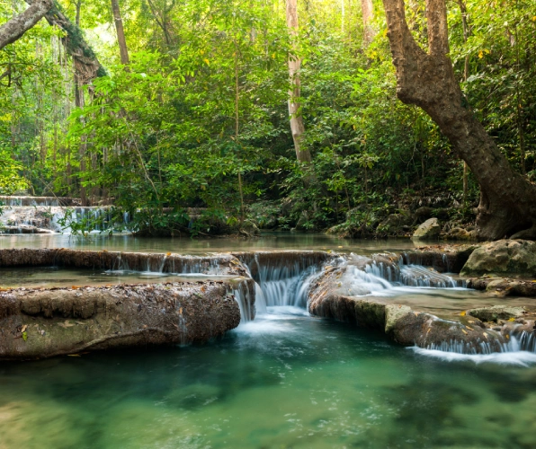 Chitwan National Park 