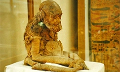 Egyptian Museum Cairo