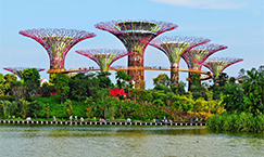 Travel insurance for Gardens by the Bay