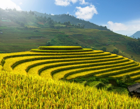 Hani Terraces