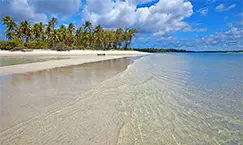 Mafia Island Tanzania