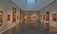 The Houston Museum of Fine Arts
