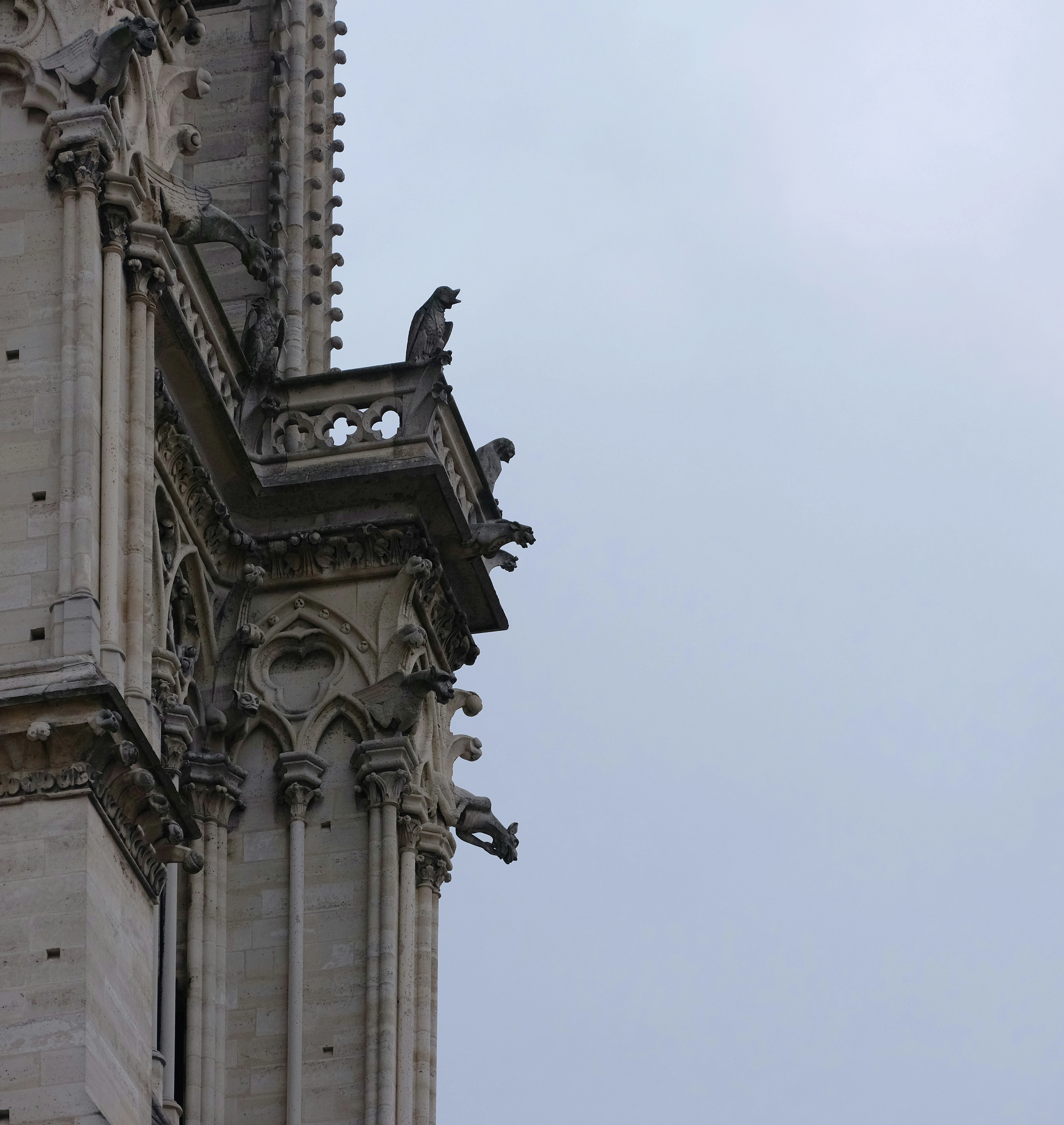 Notre-Dame Cathedral Paris
