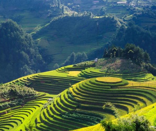 Banaue Rice Terraces