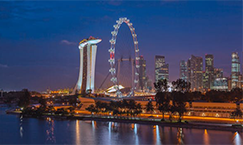 Travel insurance for Singapore Flyer