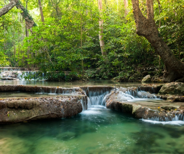 Virachey National Park